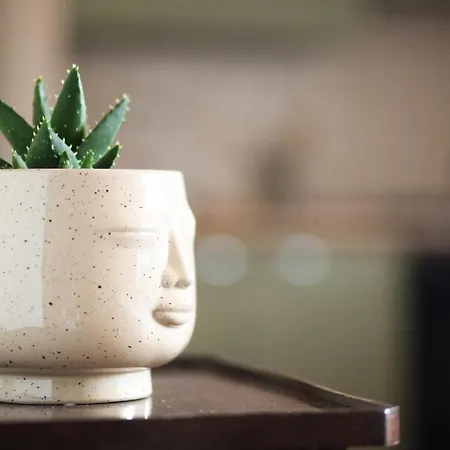 Zen House Apartment *